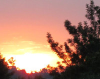 <img class='cat_full_img' src='https://rbkt.org/b/16/66/75/166675af88c18d03deac2da6cb6c4767.jpg' />