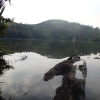 <img class='cat_full_img' src='https://rbkt.org/b/75/b8/61/75b8618171262799537cc022f5ab0f0b.jpg' />