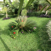 <img class='cat_full_img' src='https://rbkt.org/b/45/d9/f8/45d9f892508da5a83991f50ff5d0de81.jpg' />