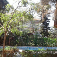 <img class='cat_full_img' src='https://rbkt.org/b/26/3e/f2/263ef21237ba5248fb6f289a8fcbd49d.jpg' />