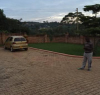 <img class='cat_full_img' src='https://rbkt.org/b/bd/3c/99/bd3c995d3251455f6f0e75758ca85316.jpg' />