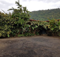 <img class='cat_full_img' src='https://rbkt.org/b/2e/9f/fd/2e9ffde039392e9ba506fe6d18cc3081.jpg' />