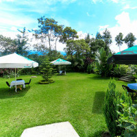 <img class='cat_full_img' src='https://rbkt.org/b/24/9d/78/249d78170d2badffcda090fff608c140.jpg' />