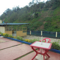 <img class='cat_full_img' src='https://rbkt.org/b/c5/ee/e4/c5eee4050b31d7c32a60eba5d9ce9a7f.jpg' />