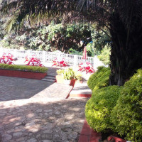 <img class='cat_full_img' src='https://rbkt.org/b/93/72/3d/93723de533c01baa3a359a8ff14d5421.jpg' />