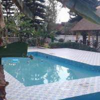 <img class='cat_full_img' src='https://rbkt.org/b/a1/af/39/a1af39205798a5b18cd67dbc542a212a.jpg' />