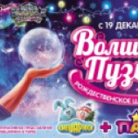 Рождественское шоу "Волшебные пузыри Фан Янга" (Россия, Москва)