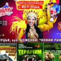 Выставки на территории цирка "Кобзов" (Украина, Кременчуг)