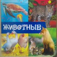 Книга на картоне с окошками "Животные" - Издательство Эксмо