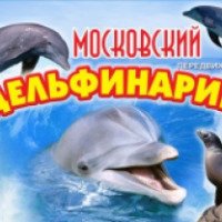 Передвижной Московский Дельфинарий (Россия, Тольятти)