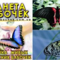 Выставка живых тропических бабочек "Планета бабочек" (Украина, Киев)