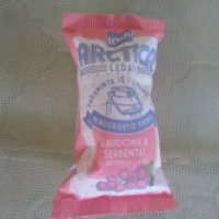 Мороженое Dadu Arctika "Сливочное с ароматом ванили и смородины"