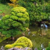 Японский чайный сад (США, Сан-Франциско)