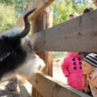 Детский контактный зоопарк (Россия, Иркутск)