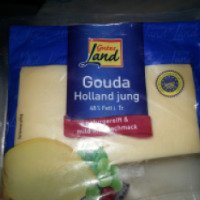 Сыр голландский Gouda Jung