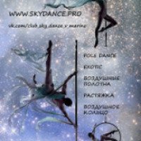 Школа танца на пилоне Skydance (Россия, Москва)