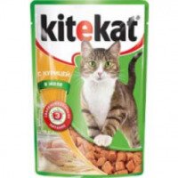 Корм для кошек желейный Kitekat c цыпленком и лососем