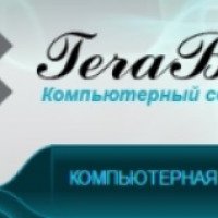 Срочная компьютерная помощь TeraBit (Россия, Санкт-Петербург)