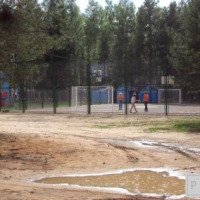 Детский оздоровительный лагерь "Вишкиль" 