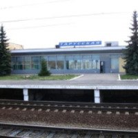 Железнодорожная станция Тарусская (Россия, Тульская область)