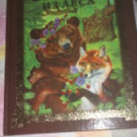 Детская книга "сказки из леса" - Издательство Эксмо