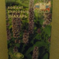 Семена СеДеК "Лофант Анисовый знахарь"