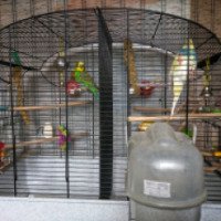 Клетка для небольших попугаев и птиц Ferplast Canto