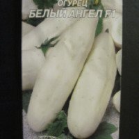 Семена огурцов Семена Украины "Белый ангел"