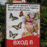 Сад бабочек в саду орхидей (Крым, Ялта)