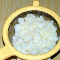 Тибетский молочный (кефирный) гриб