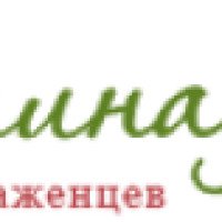 DolinaRoz.ru - интернет-магазин саженцев и семян