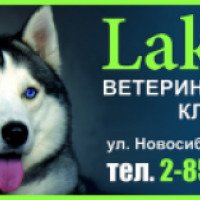 Ветеринарная клиника "Lakki" (Россия, Красноярск)