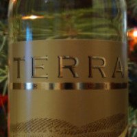 Вино белое полусладкое Вина Комрата "Terra Ricci"