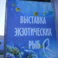 Выставка экзотических рыб (Украина, Скадовск)