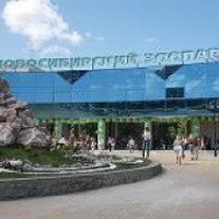 Новосибирский зоопарк (Россия, Новосибирск)