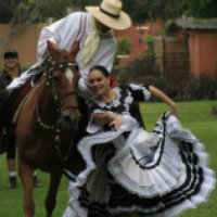 Фестиваль перуанской шаговой лошади и перуанского танца "Маринера" 