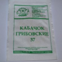 Семена кабачка Седек "Грибовские 37"