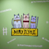 Котокафе "Мяулэнд" (Россия, Ижевск)