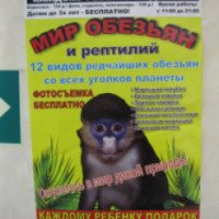 Зоовыставка "Мир обезьян и рептилий" (Россия, Орел)