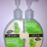 Шампунь+бальзам для окрашенных волос Beauty Skin Spa-Life
