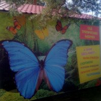 Сад живых бабочек (Россия, Челябинск)