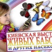 Выставка живых бабочек и других насекомых в ТЦ Promenada (Украина, Киев)