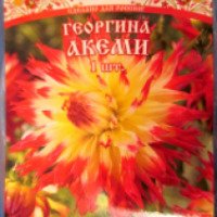 Семена Русский огород "Георгина Акеми"