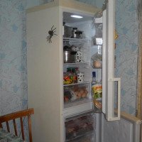 Холодильник Samsung RL-38 ECVB