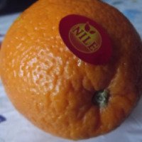 Апельсины Nile