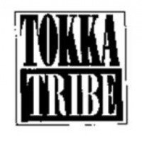 Осенний детский полукомбинезон Tokka Tribe
