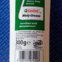 Пластичная смазка Castrol Moly Grease