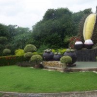 Ботанический сад г. Богота (Колумбия)