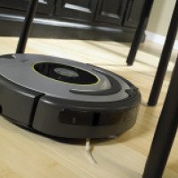 Робот-пылесос iRobot Roomba 630 Pet