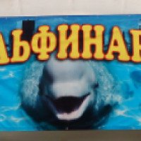 Воронежский передвижной дельфинарий (Россия, Саранск)